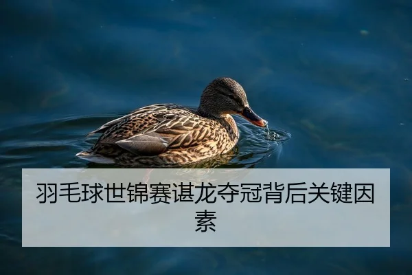 羽毛球世锦赛谌龙夺冠背后关键因素