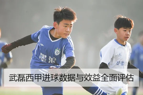 武磊西甲进球数据与效益全面评估