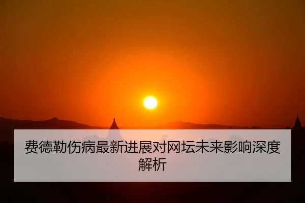 费德勒伤病最新进展对网坛未来影响深度解析